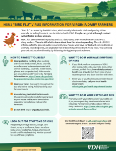 Vista previa de imagen de información sobre el virus de la gripe aviar para el folleto de ganaderos lecheros de Virginia