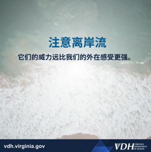 해안 흐름에 주의하세요 - 그들의 힘은 우리보다 훨씬 더 강합니다.