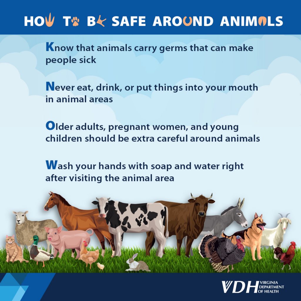 Một đồ họa liệt kê các cách để giữ an toàn xung quanh động vật.