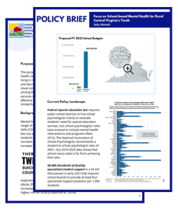an example of the VA-SORH Policy Brief