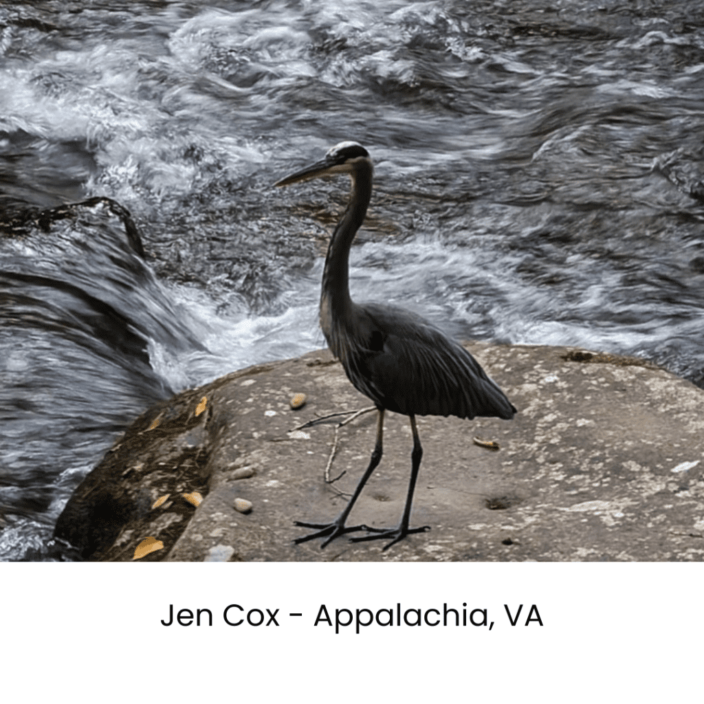 2026 VA-SORH January Calendar