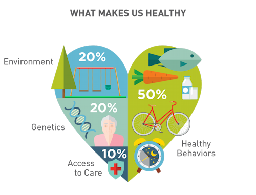 Diagram of "what makes us healthy". Includes 50% healthy behaviors, 20% environment, 20% genetics, and 10% access to care.